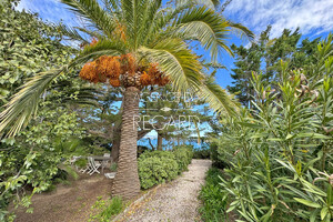 waterfront apartment in Porquerolles