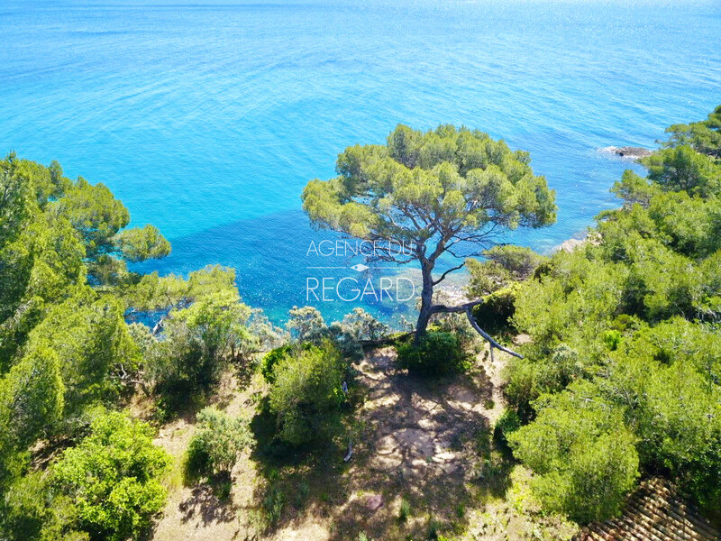 Exceptional! more than 1 hectare feet in the water