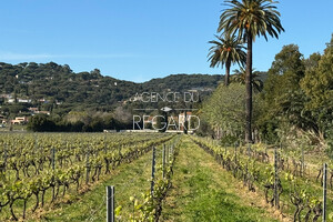 property with sea view in La Croix-Valmer