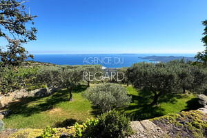 property with sea view in Le Lavandou